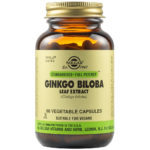 200278_GINKGO_BILOBA_EXTRACT_60_9391