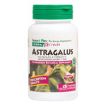 7112-ASTRAGALUS-01