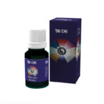 tai_chi_Feng-Shui-Blends